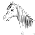 draw_horse_thumb